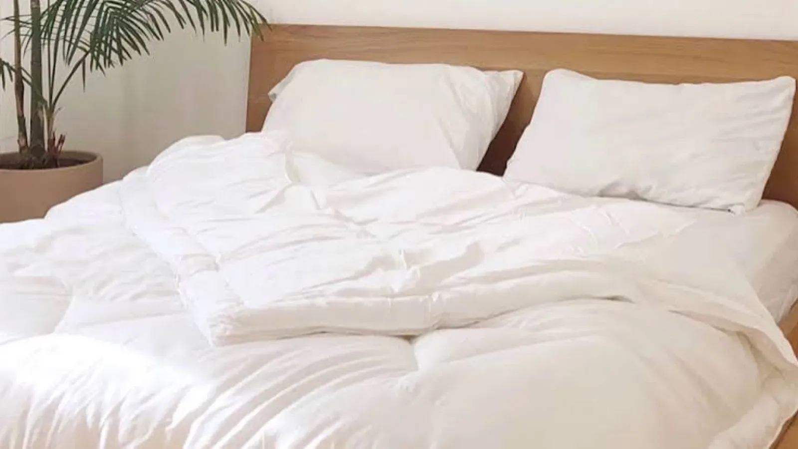 Buffy Comforter Review: The Eco-Friendly Comforter That Passes the Hot Sleeper Test