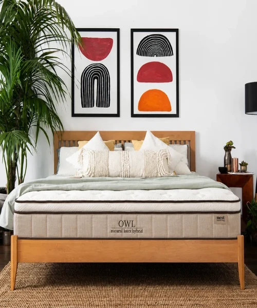 Nest Bedding Owl (Organic Natural Hybrid Latex)