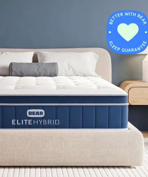 Bear Elite Hybrid