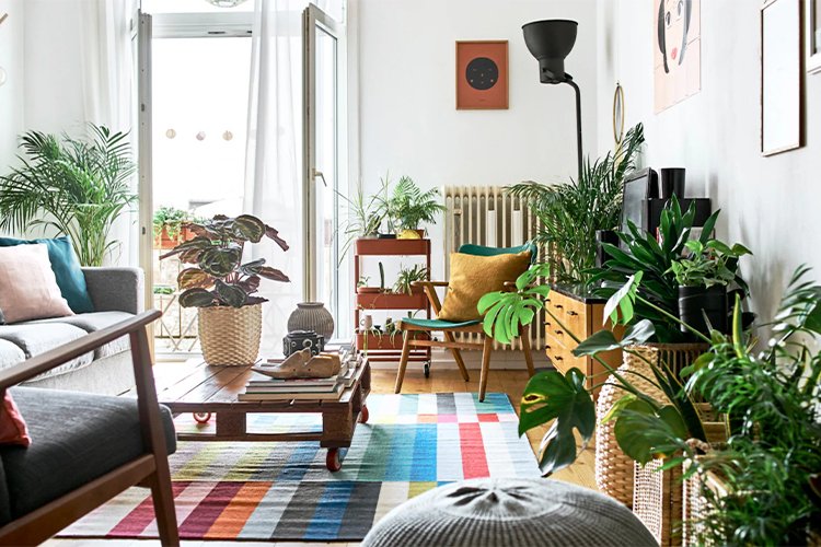 Budget Room Decor Ideas That Make Your Space Feel Better Without Spending Much